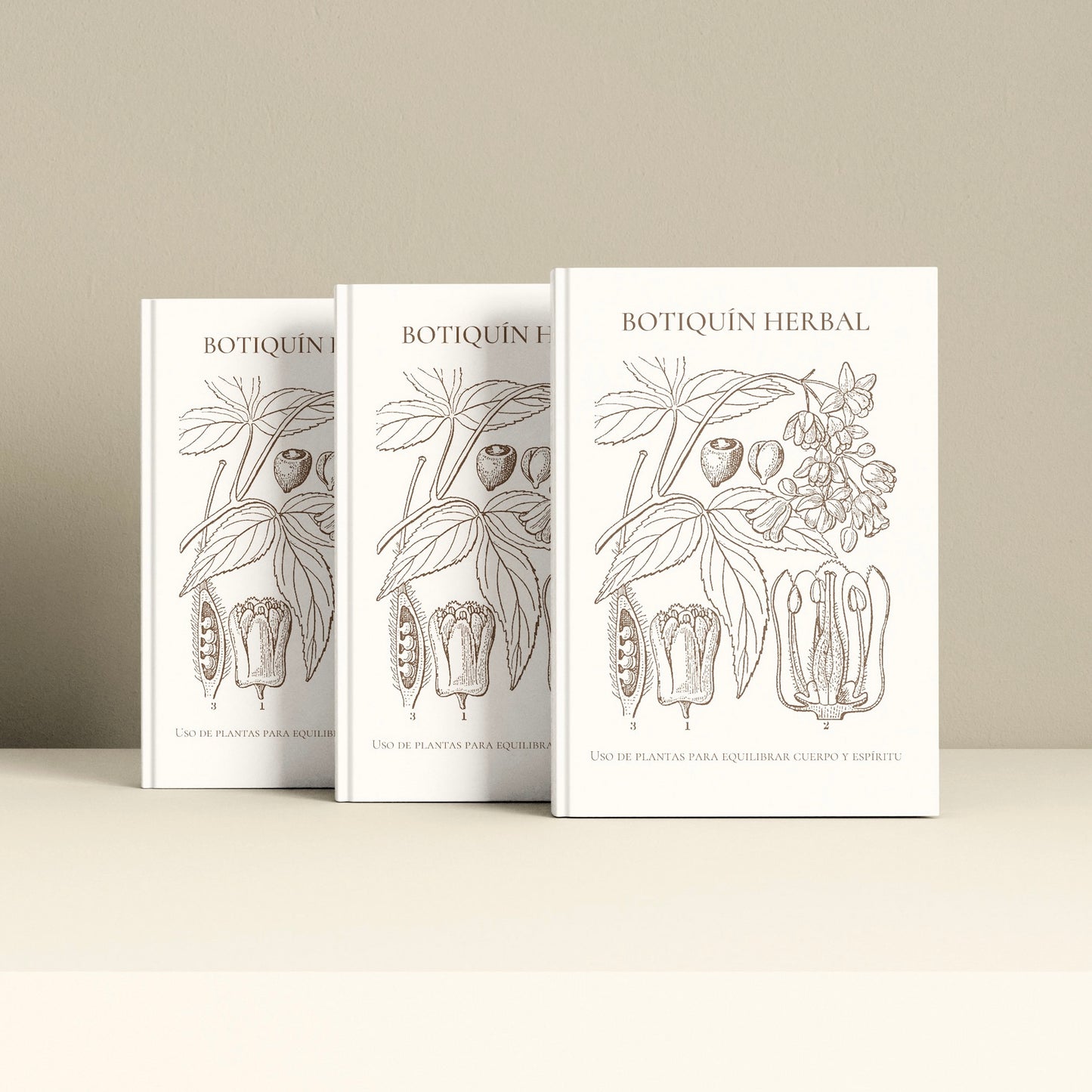 Crea tu propio botiquín herbal: Guía práctica para aprender a usar las plantas en tu vida diaria.